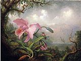 Orchid and Hummingbird by Martin Johnson Heade